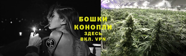 Альфа ПВП Аркадак
