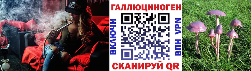 Галлюциногенные грибы прущие грибы  Купить закладки  Гусев 